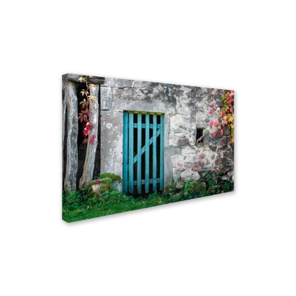 Philippe Sainte-Laudy 'The Old Wooden Door' Canvas Art,12x19